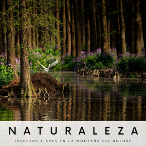 El Hijo Del Ruiseñor