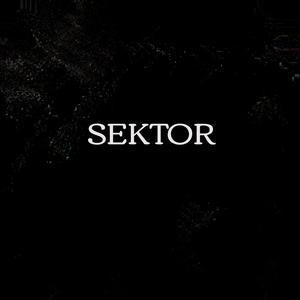 Sektor