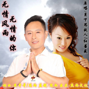 无情风雨无情的你 (DJ对唱版)