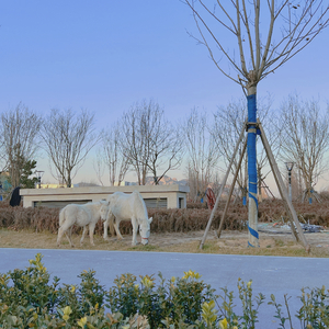 不如我們重新來過