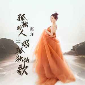 孤独的人唱孤独的歌 (DJ默涵版)