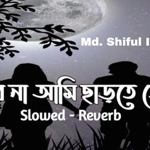 পারবো না আমি ছাড়তে তোকে। Parbo Na Ami Charte Toke (Lofi Slowed and Reverb)