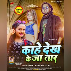 Kahe Dekh ke jaa taar