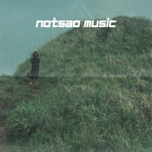 Ye Tune Kya Kiya (slowed + reverb)