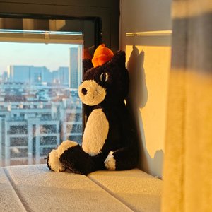 其实你离它并没有那么远