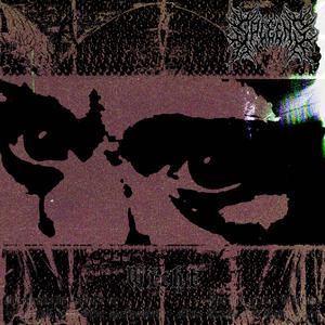 Wicht (feat. Hood Brawl)