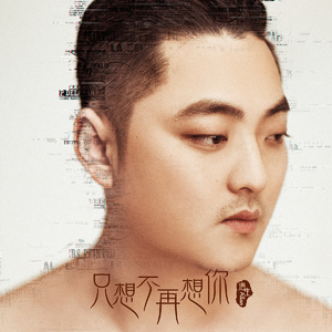 只想不再想你（伴奏）