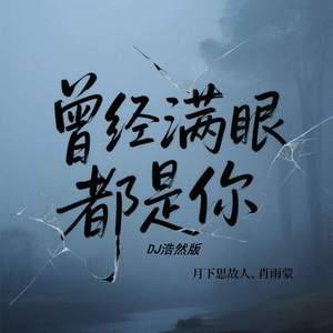 曾经满眼都是你 (DJ浩然版)