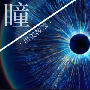 【二胡】瞳（出类拔萃）