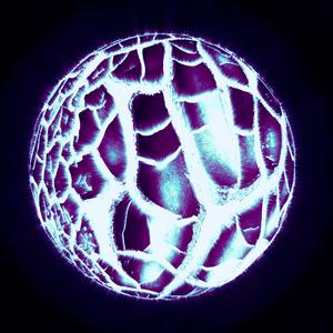 Adaption (Bonus Track)