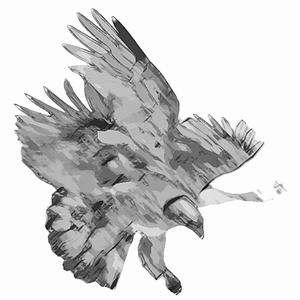 Unspoken (Words We Never Knew)