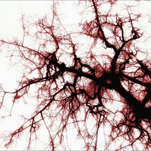 寄存情话（Prod.Cartier k）