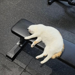 VID_20220401_165523_2022-04-02_003937