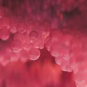 【FREE】R&B Type“迷离”