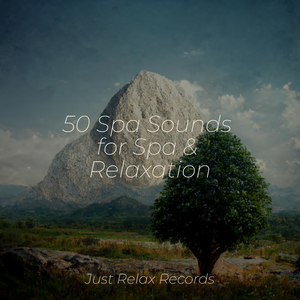 Sparkling Echoes of Passion