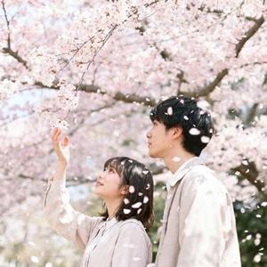 樱花树下的约定 (Cover 可泽 & 夏凌兮)