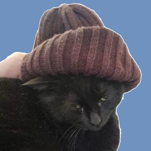 Псина бобик