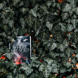 紧张悬疑烧脑（纯音乐）