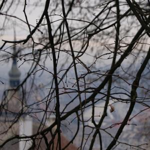 Birth In Carpathia V