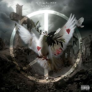 我的美丽feat.n4Ru1