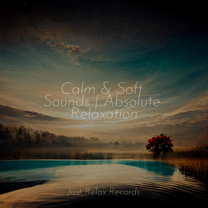 Sky Soaring Symphony