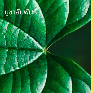 บูชาสัมพันธ์