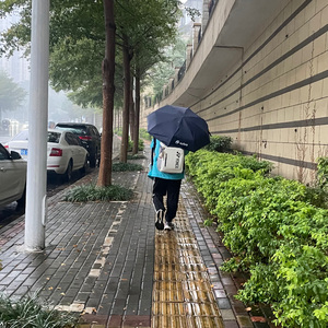 Rain way（雨出路）