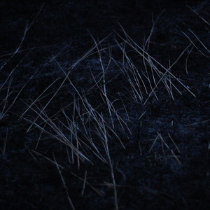 Cold Plains