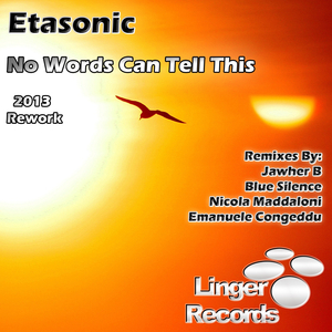 No Words Can Tell This (Etasonics Unspoken Mix)