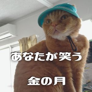 あなたが笑う金の月 (feat. 初音ミク)