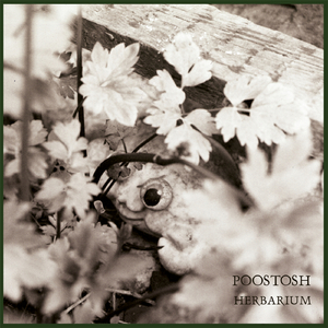 Overjoyed To Hear The New Poostosh Album