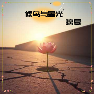 候鸟与星光（伴奏）