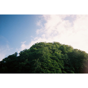 自然派ラッパー