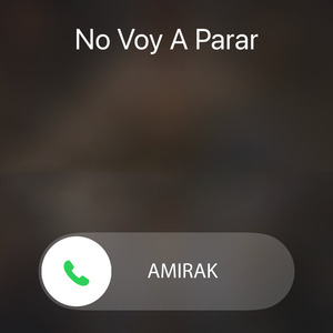 No Voy a Parar
