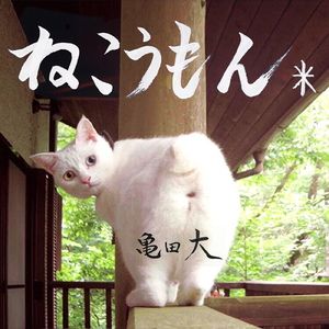 ねこうもん✳