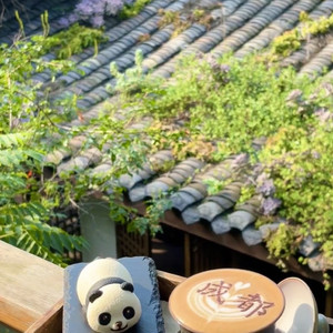 成都啊成都（Cheng Du） by 玫瑰病了