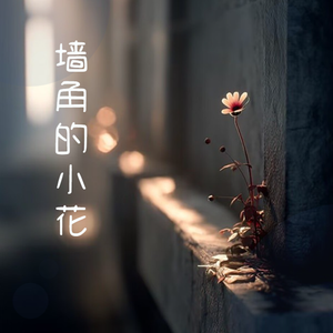 墙角的小花