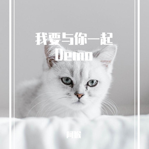 我要和你一起Demo