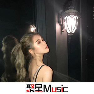 车载专用(Remix)