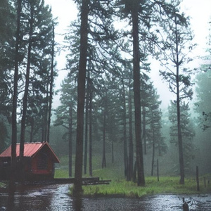 Watch the calm rain before you sleep