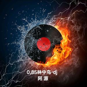 葛林-0.85林中鸟-dj（阿源 remix）