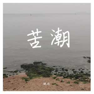苦潮-伴奏