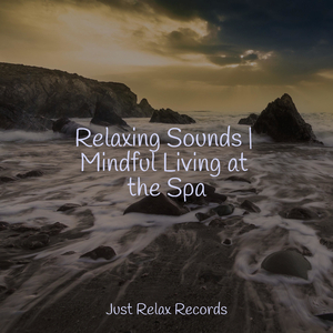 Dreamy Feather Dance