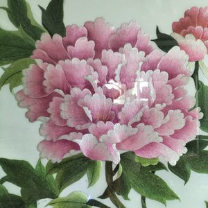 向着光_55128907438270976_1759901836810.wav