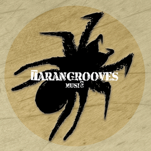 Systematic Flow (Dub Beats Mix DJ Tool)