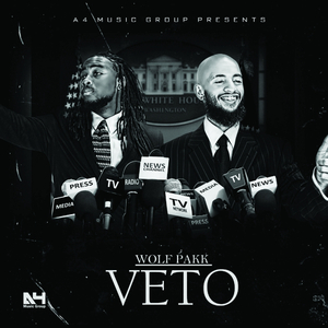 Veto (Radio)