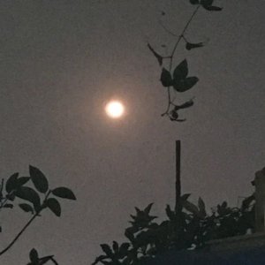 记忆_"Emo"  Beat