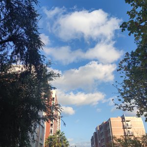 素颜.(片段)