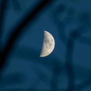 二十岁的某一天