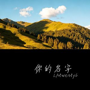 你的名字